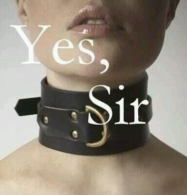 Yes, sir.
