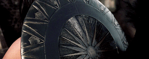 diana-prince:  The Warrior. The Myth. The Wonder. 