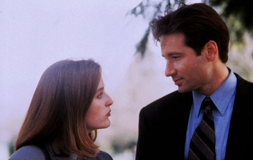 scully1964: scully1964: @davidduchovny: I think I know you from somewhereâ¦ 1993 | 201