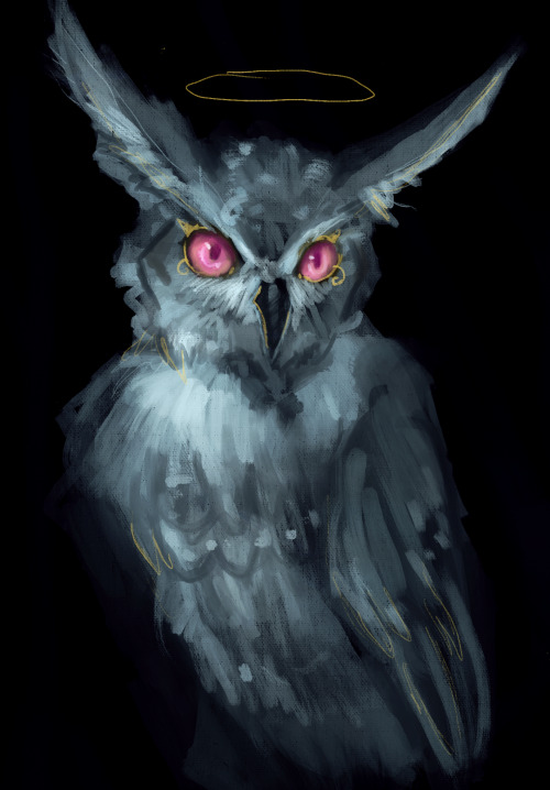 krissiegore:superb owl