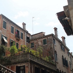 hastenekippe:  Venezia