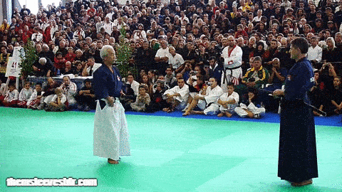 themsleeves: High precision iaido - Yoseikan Budowith 10th Dan Hiroo Mochizuki master (was 9th on th
