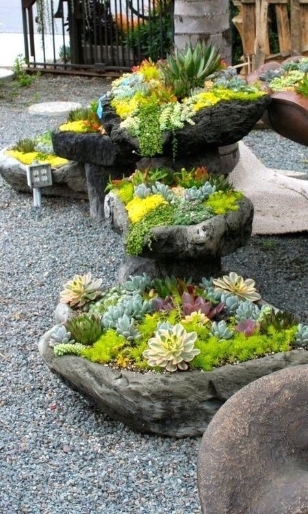 tookherbluesback: miss-mandy-m:Succulent garden ideas @monchichitamberine For our apartment!! Yes!! 