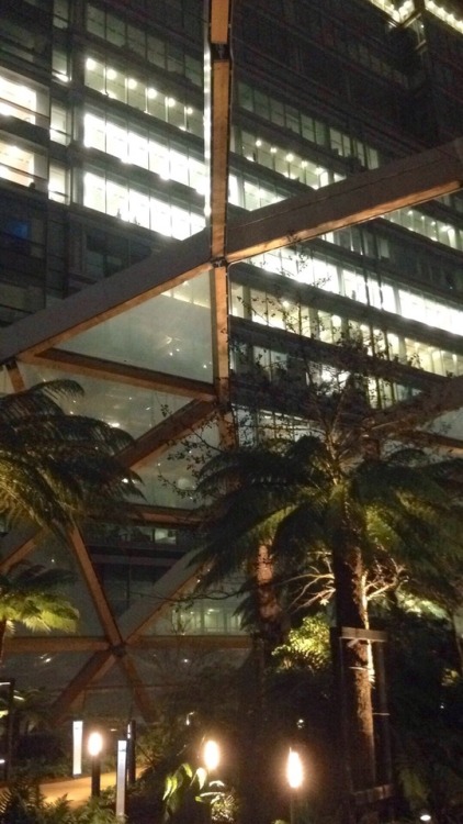 Public greenhouse in Canary Wharf, London