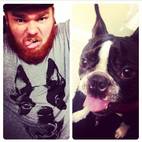They always say owners and their pups always look alike!: @biggietattoos #bostonterrier #toungueout