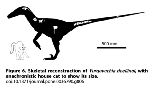 catsuggest: wtf-scientific-papers: [Figure 6. Skeletal reconstruction of Yurgovuchia doellingi, with