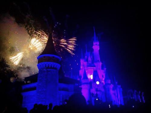 Last night&rsquo;s fireworks were right; make a wish and dreams come true. This vacation is one of a