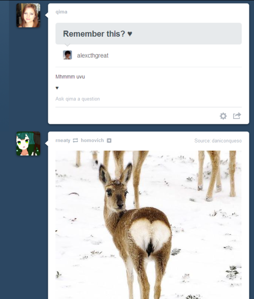 Not you, deer.