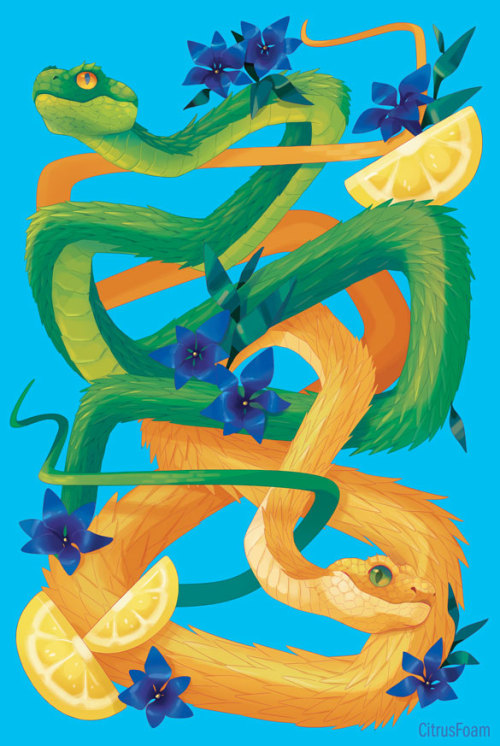 citrusfoam:  Lemon Lime (redo)