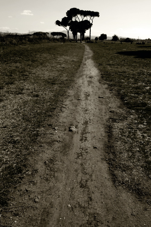 gaetanopezzella: Roma, Parco degli Acquedotti photo Gaetano Pezzella