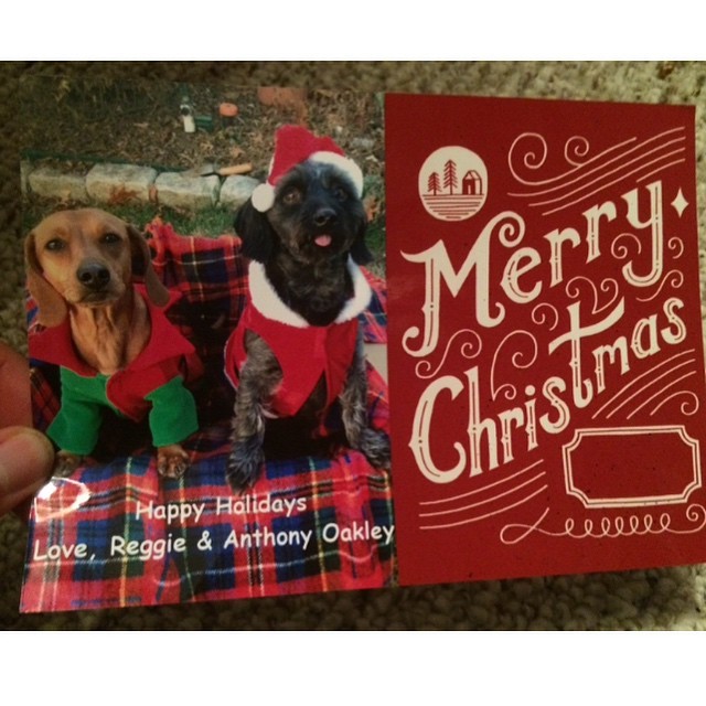 Best holiday card that I got. @krisoakley is out of her mind 😭🐶🎅 #dogsoverbabies
