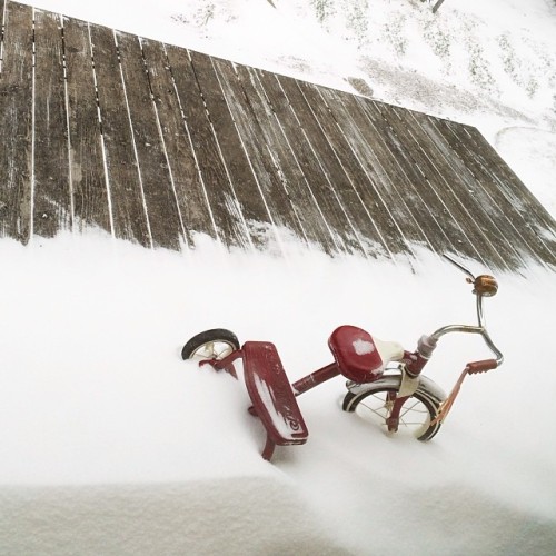 hornbecker: #ifasnowflakefallsinpdxanditisntinstagramedisitreal #portlandsnowmageddon #allthecoolkid