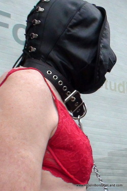  Ready to be exposed in front of thousands of people at Folsom Street ???http://www.aliceinbondageland.com