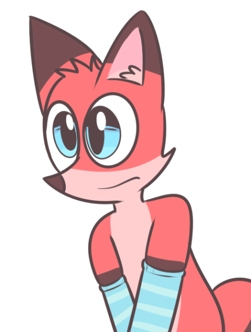 mrdegradation:Fox in socks socks on fox socks is fox fox eats sock fox uses sockD’aww~ :3