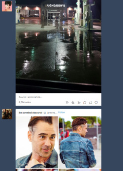 ofstrangeshadows:I feel like…my dash…is trying to say something here…