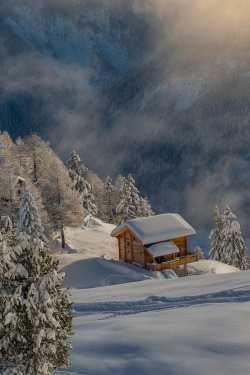 plasmatics-life:  Alps ~ By Florin Biscu