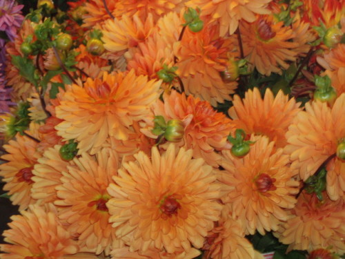 Pike Place Market in August II: Summer Flowers, Seattle, 2007.