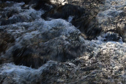 533d4c5e415aed0c110b7df6095a03264612e598.gifv