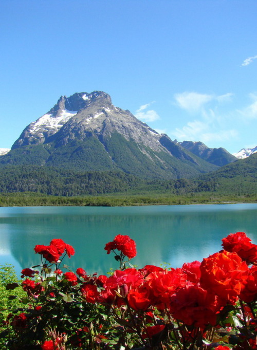 Rosas en el paraíso, Lago Mascardi, Argentina (by FotografiAR).