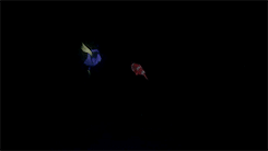 nicksmiller:  gtkm: [1/10] animated filmsfish are friends, not food! 