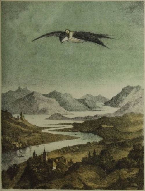 From the first Ukrainian translation of Andersen’s fairy tale (1873)Illustration of “Thu