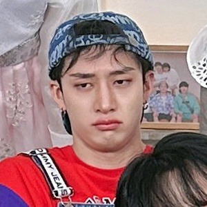 Stray Kids Matching Icons/metadinhas.