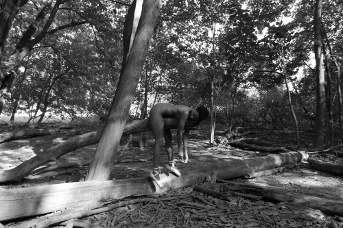 dianamsphotography:  “Untitled” Photographer - Diana M. SchenkelModel - http://louisediamond.tumblr.com/ PLEASE LEAVE ALL THE NOTES IF YOU REBLOG PLEASE AND THANK YOU <3