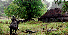 tumblr_p51325zm751r3yjqqo9_r1_400.gif