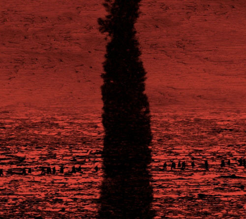 Michal Rovner - Nofim (LCD screens), via shoshanawayne:Broshei Laila ( 2012)  is projected onto elev