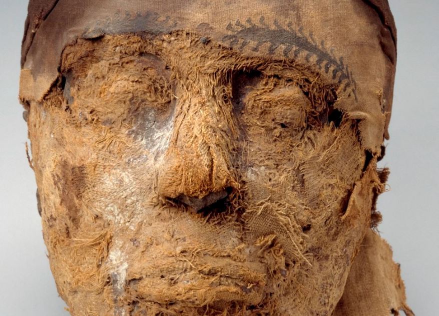 This 4,000-Year-Old Mummy Just Solved a Century-Old Mystery
