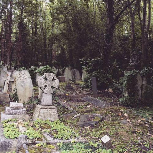 horrorcandybox:  Highgate Cemetery, London. By HorrorCandyBox. 