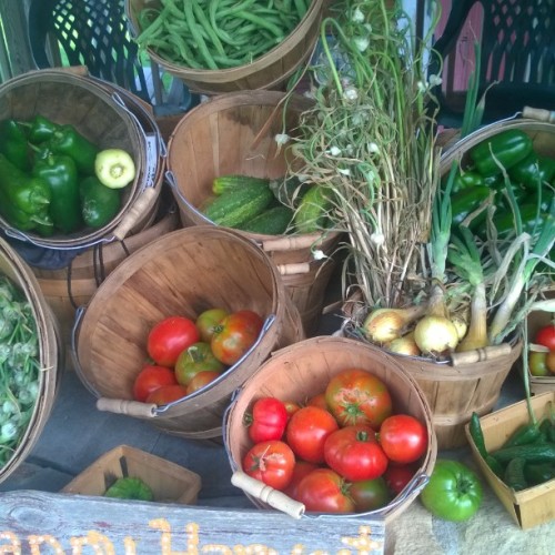 #fresh veggies #organic picked while you wait if you wish #selfservice