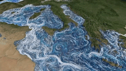 griseus: OCEAN CURRENT FLOWS AROUND THE MEDITERRANEAN SEA AND WESTERN ATLANTIC.   NASA time lapse simulation showing sea surface currents around western Europe. The visualization covers 11 months, from16 February ‘05 to 16 January ‘06. with each second