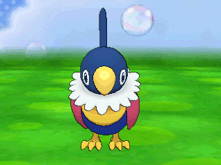 shinycaterpie:Pokemon Amie - Shiny Chatot