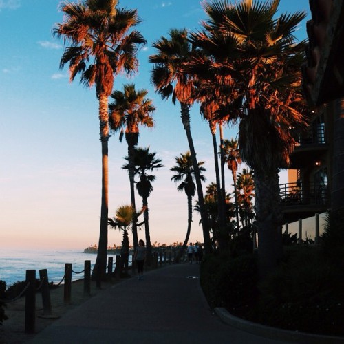 OCEAN DRIVE