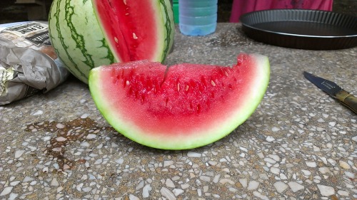 watermelon