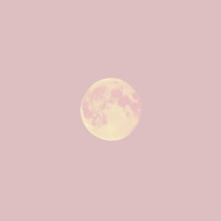 naksatram-remade:@wonnwoo 
