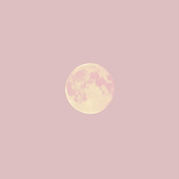 naksatram-remade:@wonnwoo 