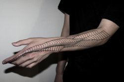 sscars:  nakeid:  in love with this tattoo  this is so perfect 