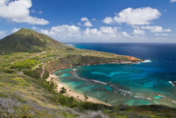    Oahu, Hawaii, United States 