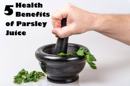 medicinal-plants-herbs: Health Benefits of Parsley Juice While parsley is healthy enough on its own,