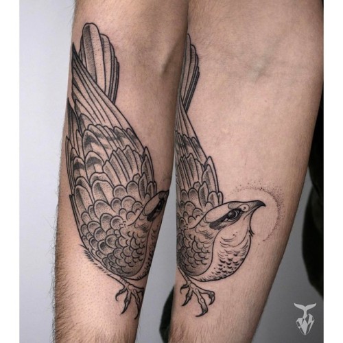 - peregrine falcon - #blacktattoo #budapesttattoo #customtattoo #peregrinefalcon #blackwork #inkedma