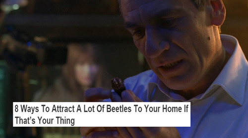 biologicalwarfarewell:    Fringe + The Onion (And Clickhole) Headlines, part 3 (insp.)