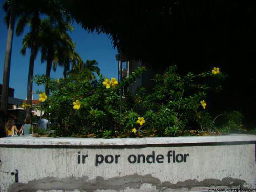 O Sistema me fez Doente