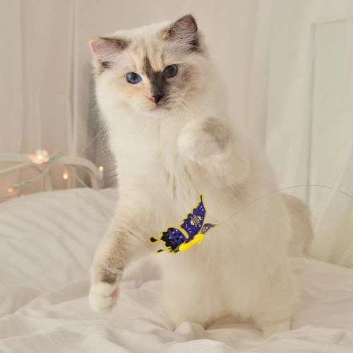 cybergata:fjarilflickans    Go for it! butterflies are fun to play with