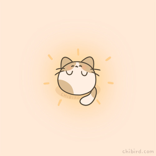 chibird: I don’t know if it’s just me, but sometimes you get these rare moments of peace