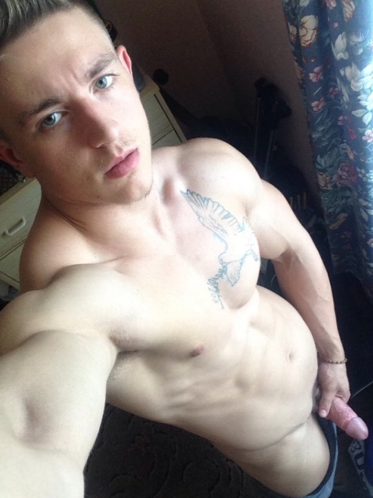 The Fit Lads Hub