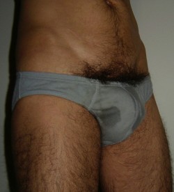 gluteus maximus