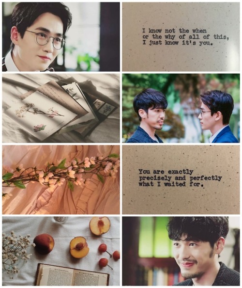 moodboard inspiration - Shen Wei x Zhao Yun Lan“If I could have him like this in my dreams eve