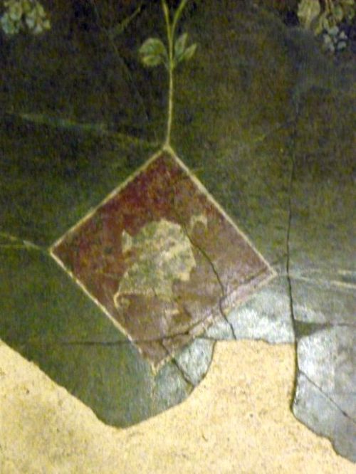 Palazzo Massimo - Fresco details 5Rome, July 2015